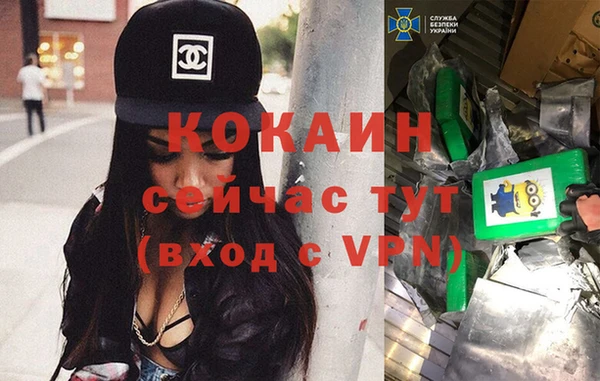гашик Алексин