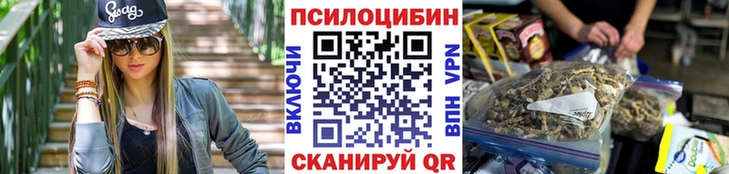 Купить где  Сланцы  Галлюциногенные грибы ЛСД 